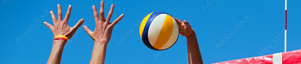 test liga